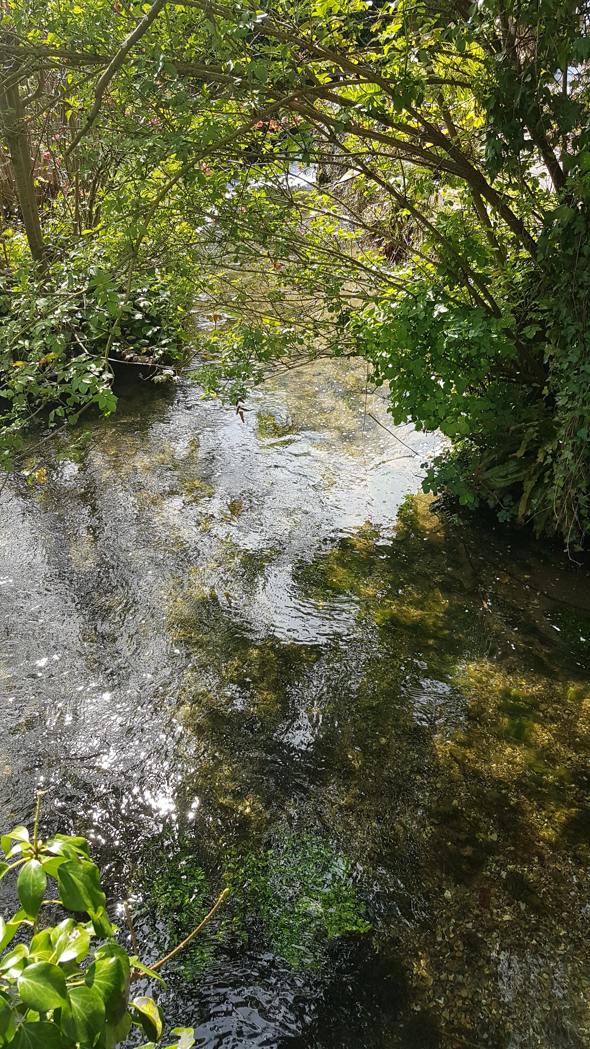 Photo n° 4 de l'avis de Marie.a fait le 01/05/2022 à 19:13