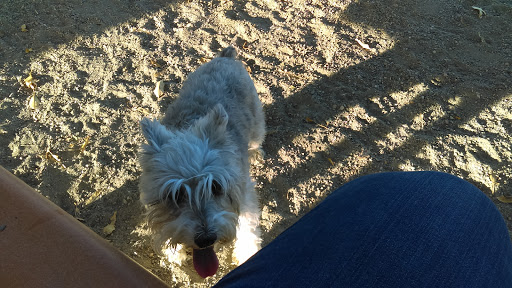 Dog Park «Trail Winds Dog Park», reviews and photos, 13385 Holly St, Thornton, CO 80241, USA