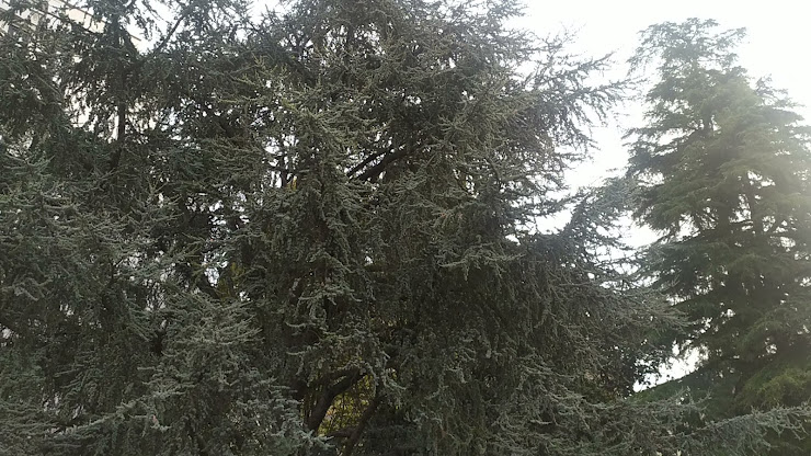 Vidéos hôtels Hotel Giovanni 35129 Padua