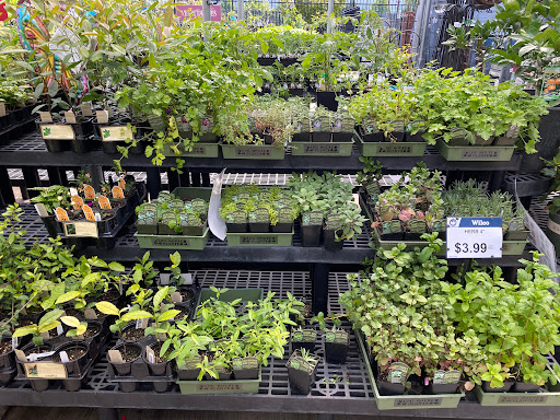 Animal Feed Store «Wilco Farm Store», reviews and photos, 197 S Hazel Dell Way, Canby, OR 97013, USA