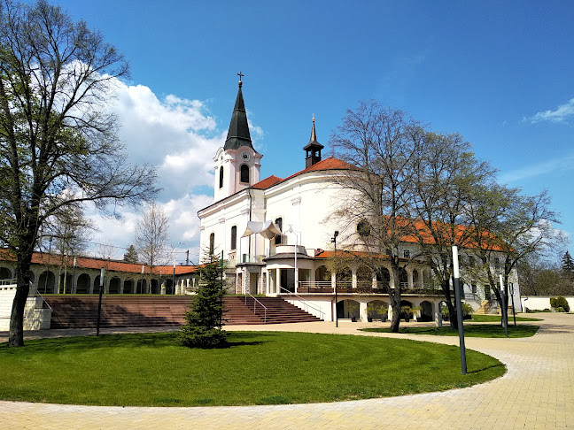 Bodajk, Szent István tér 1, 8053