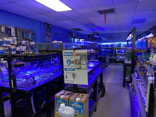 Aquarium Shop «Aquarium Depot», reviews and photos, 11762 SW 88th St, Miami, FL 33186, USA