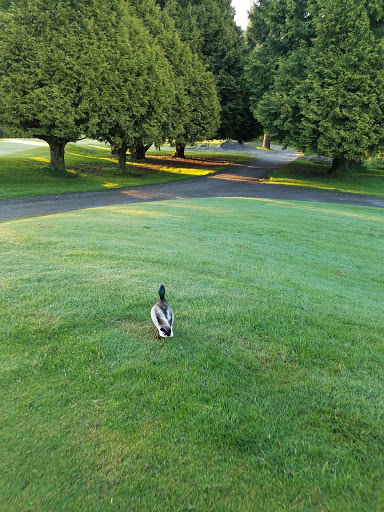 Park «West Seattle Golf Course», reviews and photos, 4600 35th Ave SW, Seattle, WA 98126, USA