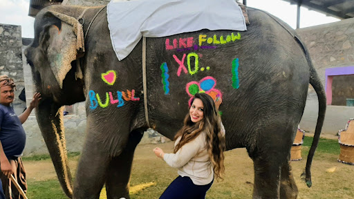 Elefunenjoy| Elephant Sanctuary Jaipur