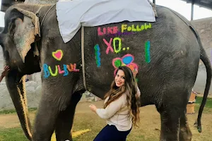 Elefunenjoy| Elephant Sanctuary In Jaipur image