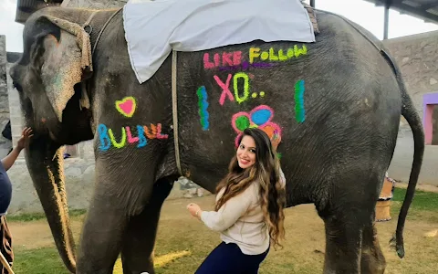 Elefunenjoy| Elephant Sanctuary In Jaipur image