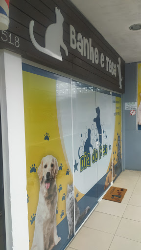 Logo da empresa - Banho e Tosa Dia do Pet
