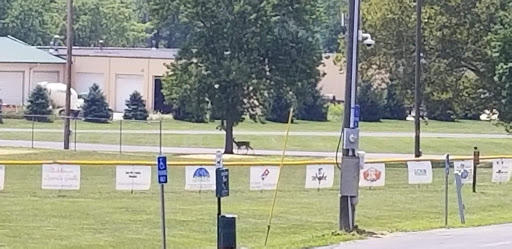 Park «Monroe Community Park», reviews and photos, 412 Old St, Monroe, OH 45050, USA