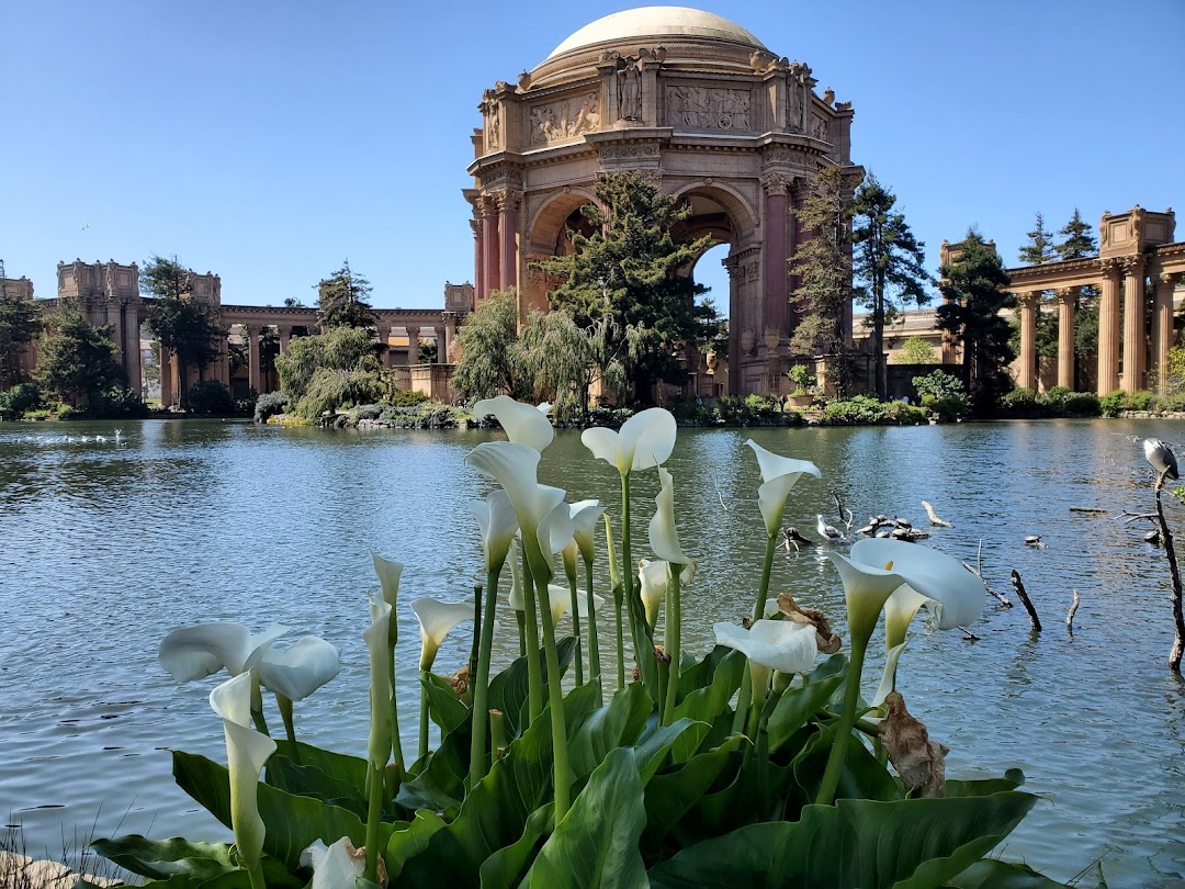 San Francisco, Amerika Birleşik Devletleri