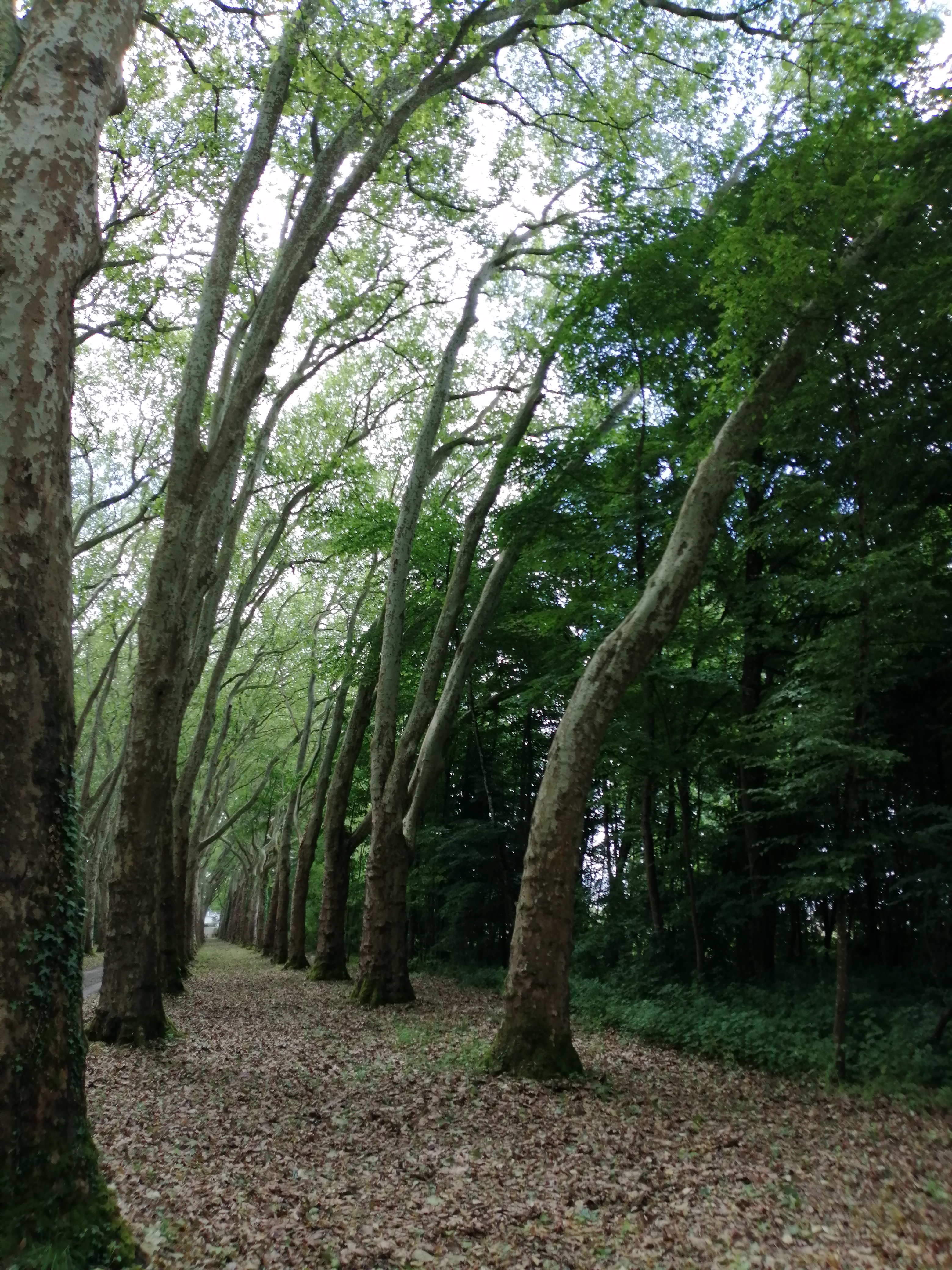 Photo n° 19 de l'avis de Eric.e fait le 21/06/2019 à 12:25