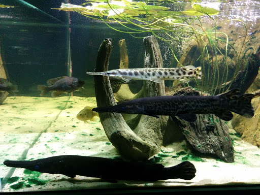 Museum «National Geographic Museum», reviews and photos, 1145 17th Street NW, Washington, DC 20036, USA