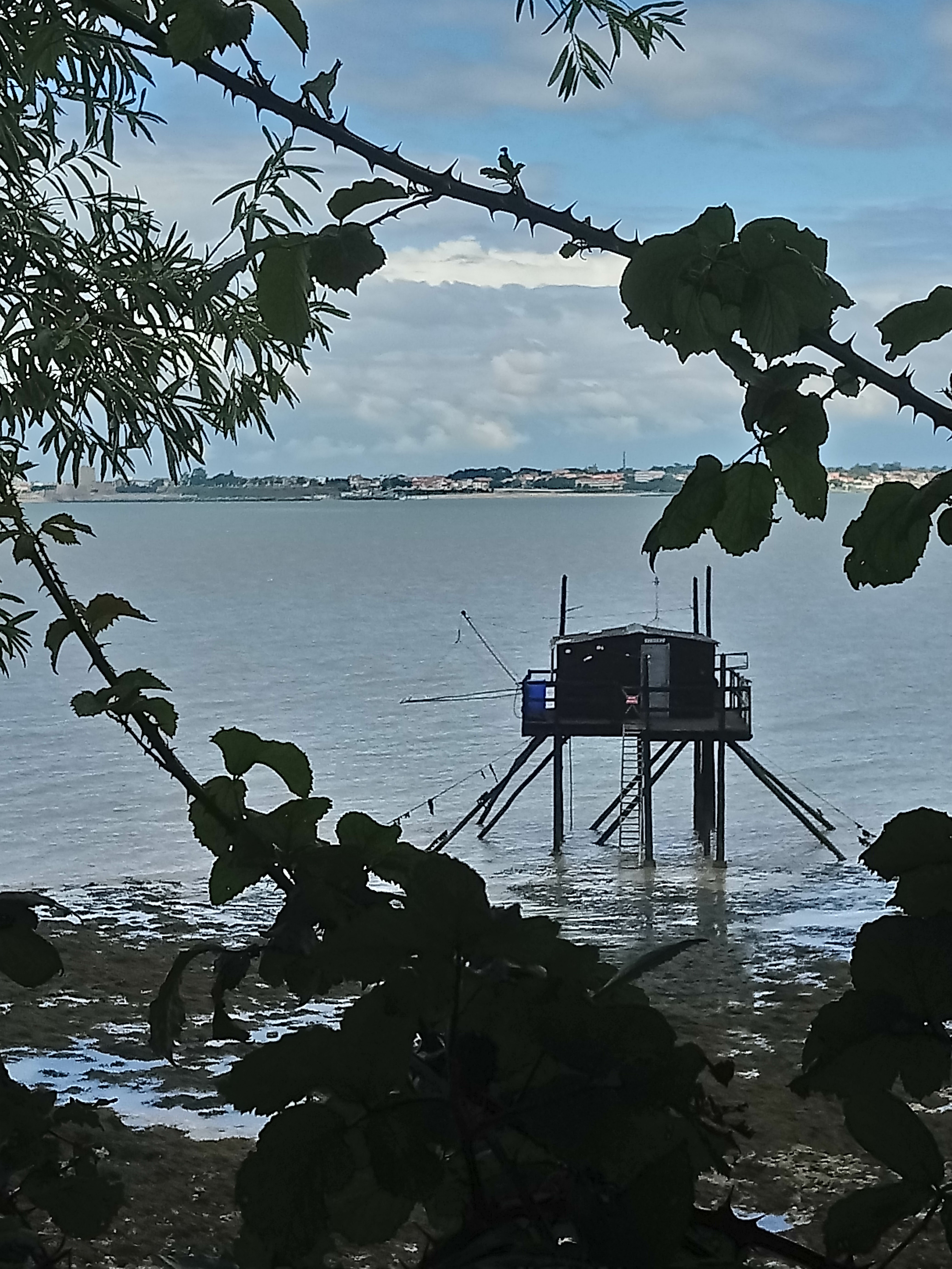Photo n° 2 de l'avis de Bernard.o fait le 23/06/2022 à 17:06