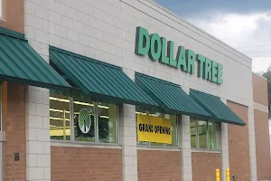 Dollar Tree image