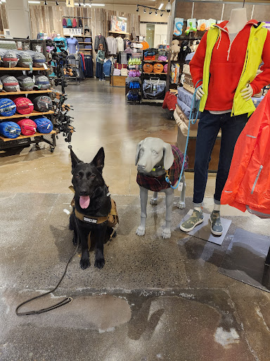 Acadia Canine Academy