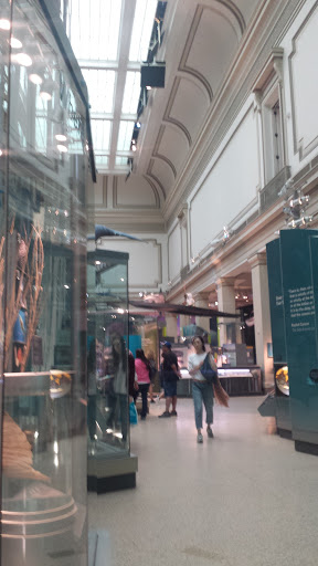 Gift Shop «Smithsonian Museum of Natural History Gift Shops», reviews and photos, 10th St NW & Constitution Avenue Northwest, Washington, DC 20004, USA