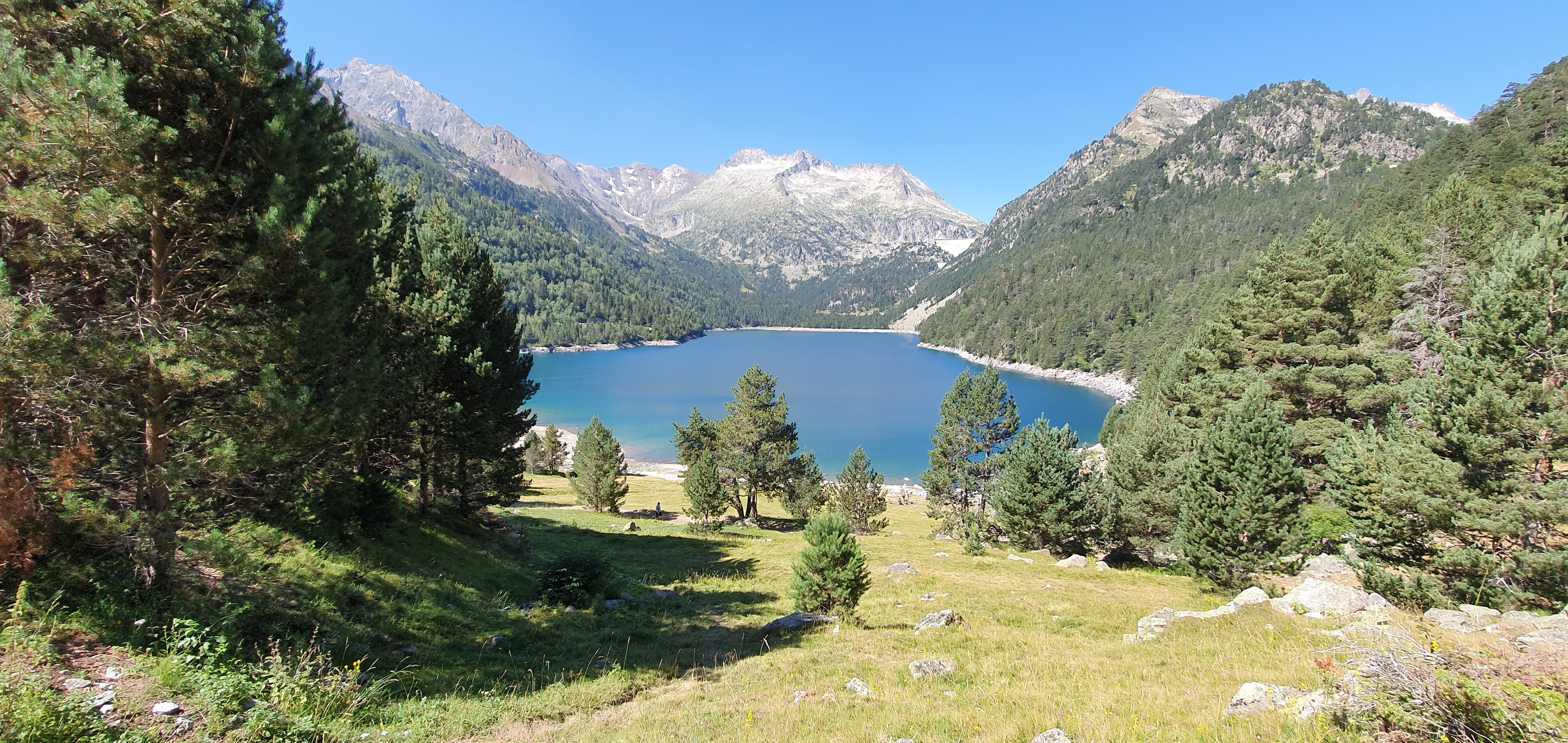 Photo n° 1 de l'avis de Laurent. fait le 14/08/2020 à 15:50
