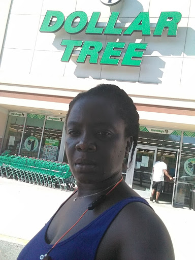 Dollar Store «Dollar Tree», reviews and photos, 16930 US-441 c, Mt Dora, FL 32757, USA
