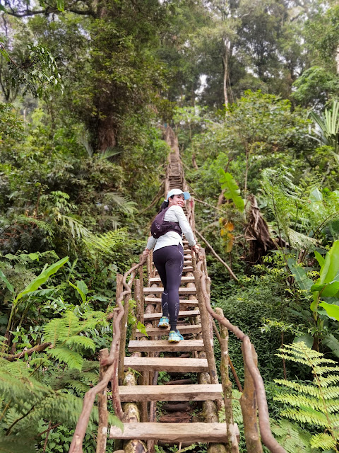 Next Level Adventures (NLA)