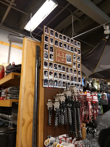 Outdoor Sports Store «Moosejaw», reviews and photos, 439 W 47th St, Kansas City, MO 64112, USA