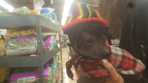 Pet Store «PetSmart», reviews and photos, 11805 Willow Creek Dr, Auburn, CA 95603, USA