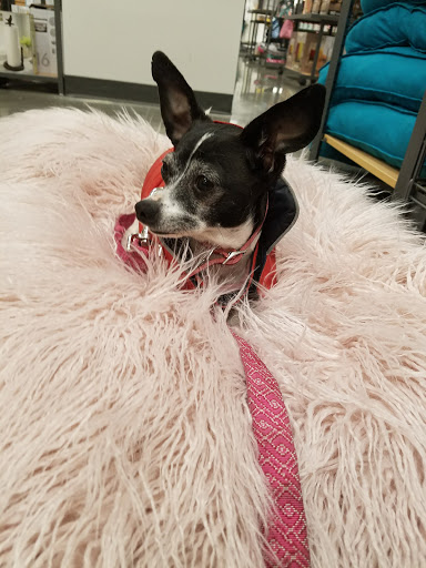 Department Store «Stein Mart», reviews and photos, 2810 Ygnacio Valley Rd, Walnut Creek, CA 94598, USA