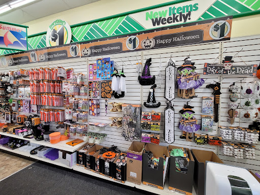 Dollar Store «Dollar Tree», reviews and photos, 723 W State Rte 22, Lake Zurich, IL 60047, USA