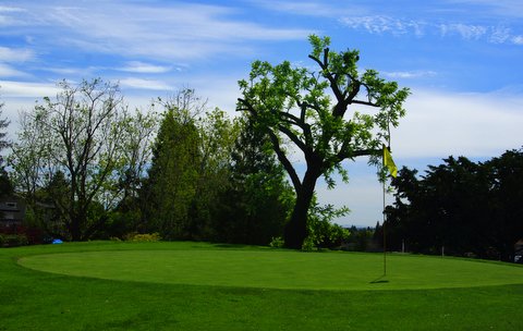 Golf Course «Emerald Hills Golf Course», reviews and photos, 938 Wilmington Way, Emerald Hills, CA 94062, USA