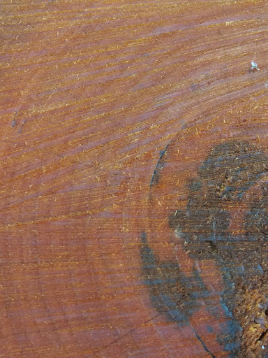 Nature Preserve «Asylum Lake Preserve», reviews and photos, 3836 S Drake Rd, Kalamazoo, MI 49008, USA