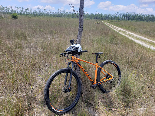 Bicycle Store «Bike Tech», reviews and photos, 7252 Bird Rd, Miami, FL 33155, USA