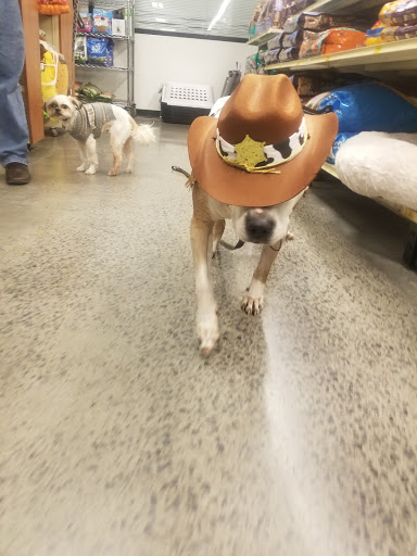 Pet Supply Store «PetSmart», reviews and photos, 3401 Erie Blvd E, Syracuse, NY 13214, USA