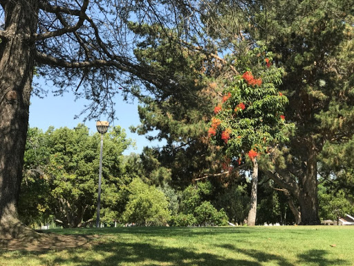 Park «Michigan Park», reviews and photos, 8228 Michigan Ave, Whittier, CA 90602, USA