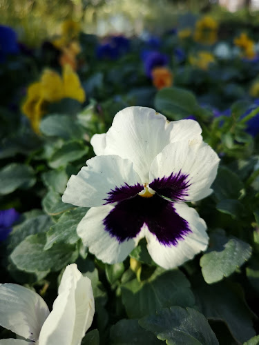 Vivero Arte Verde - Canelones