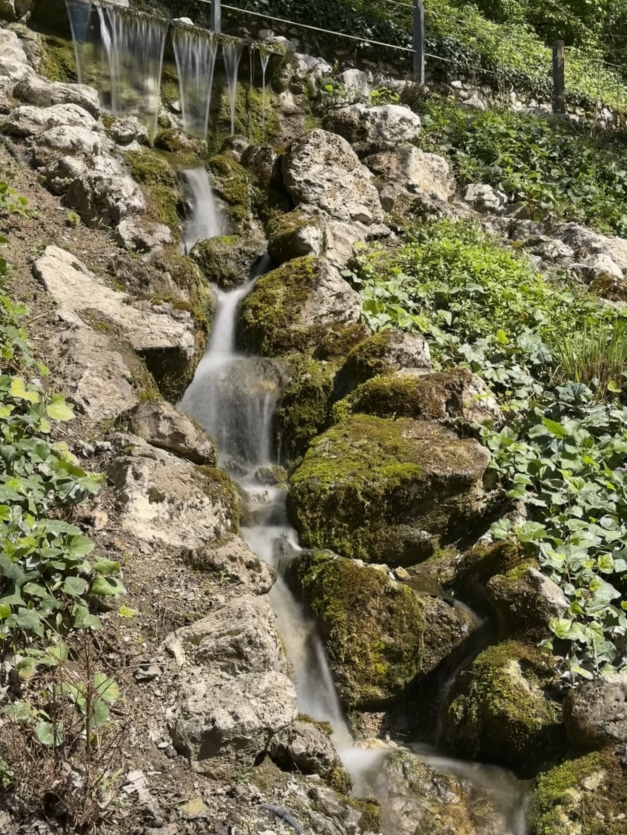 Photo n° 10 de l'avis de Bérangère. fait le 21/04/2023 à 10:27