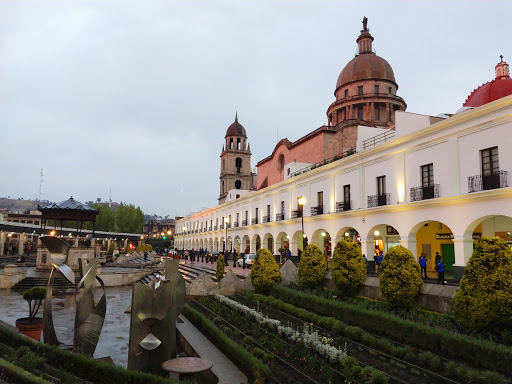 Agora De La Plaza González Arratia