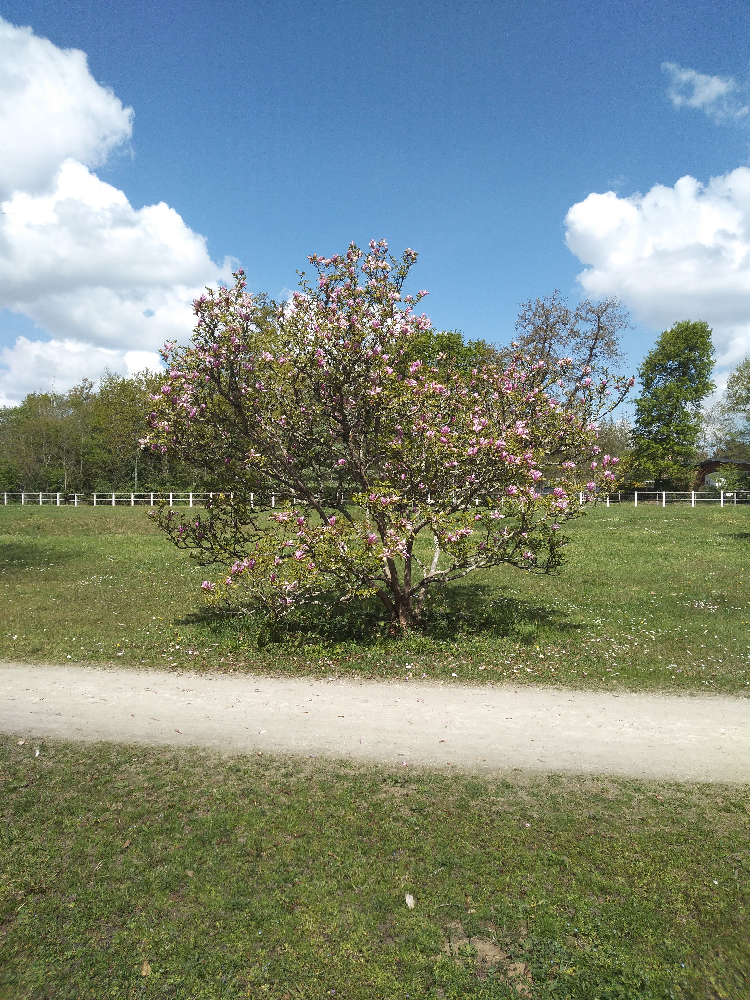Photo n° 2 de l'avis de Emmanuelle.l fait le 06/02/2020 à 16:17