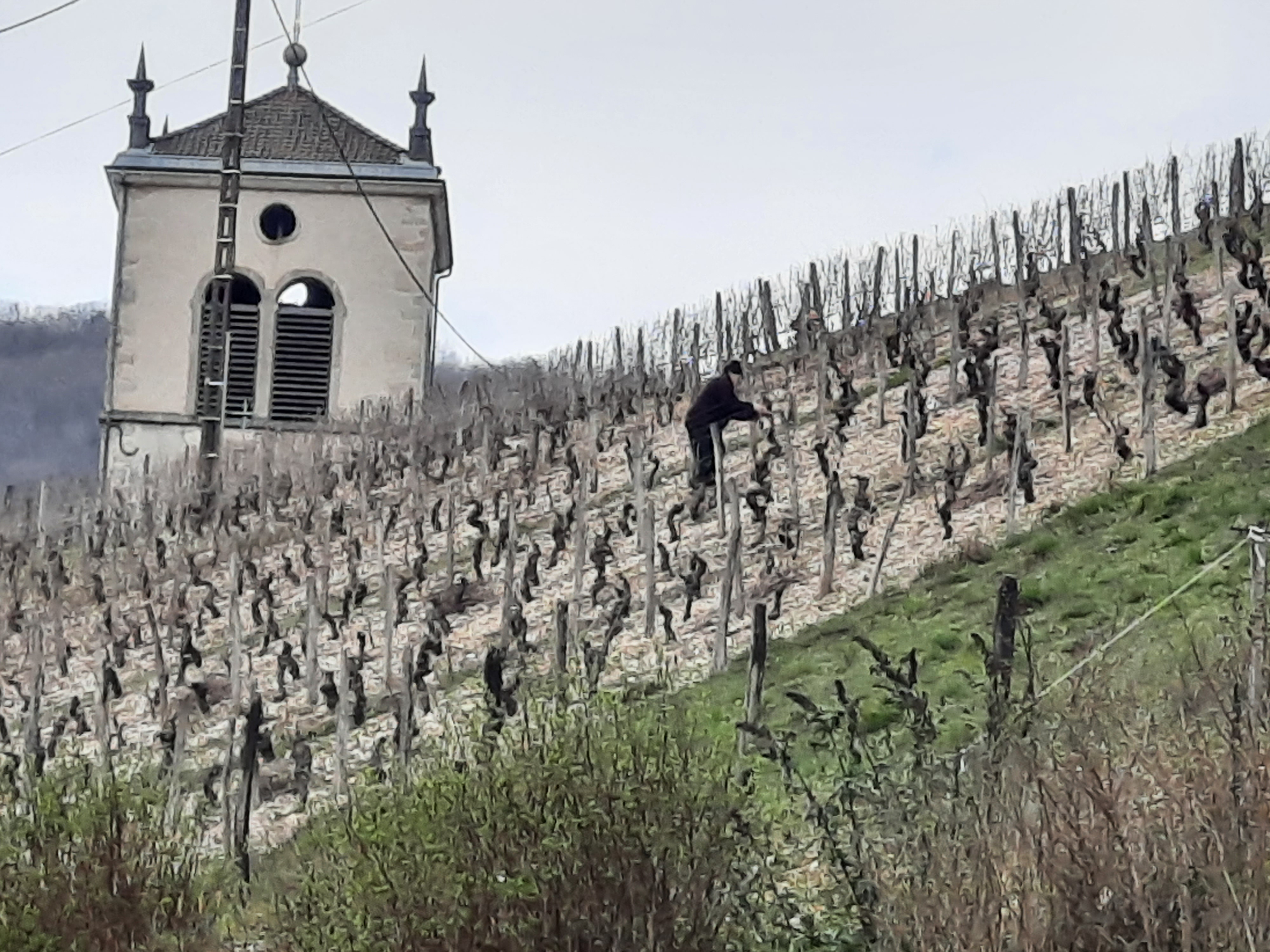 Photo n° 2 de l'avis de Eric.a fait le 08/03/2021 à 18:13