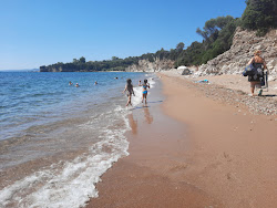 Turtle beach'in fotoğrafı geniş bir kıyı şeridi ile birlikte