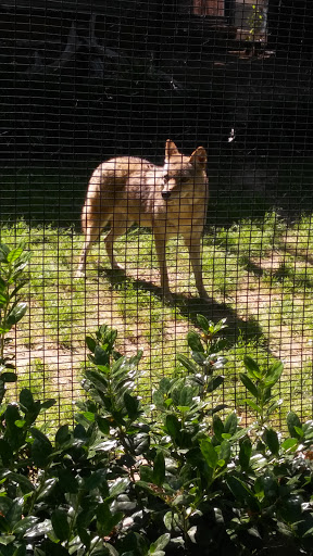 Zoo «Frank Buck Zoo», reviews and photos, 1000 W California St, Gainesville, TX 76240, USA