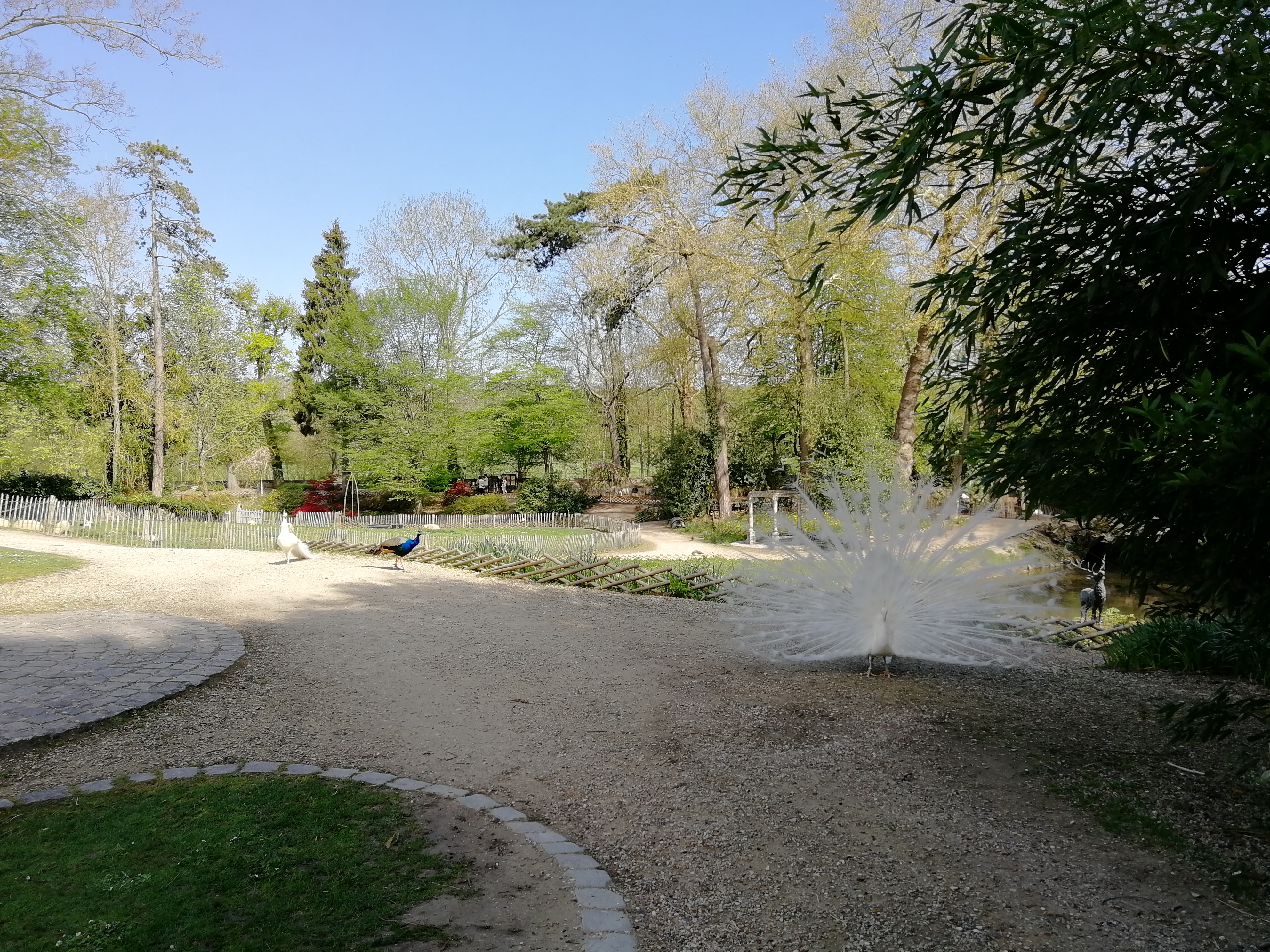 Photo n° 5 de l'avis de NathalieMac. fait le 22/04/2019 à 08:01