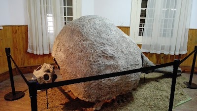 Photos of Museum of Anthropology and Natural Sciences
