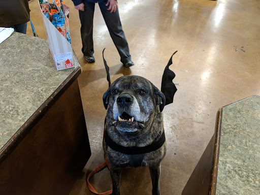 Pet Supply Store «PetPeople», reviews and photos, 1300 E 86th St, Indianapolis, IN 46240, USA