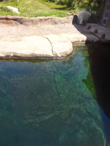 Golf Club «Muirfield Village Golf Club», reviews and photos, 5750 Memorial Dr, Dublin, OH 43017, USA