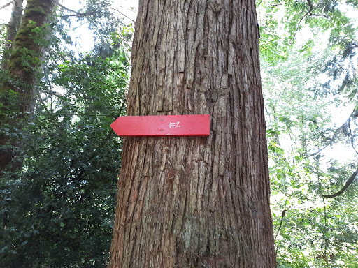 Golf Course «Riverside Disc Golf Course», reviews and photos, 7926 Riverside Rd E, Sumner, WA 98390, USA