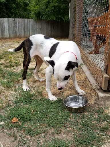 Non-Profit Organization «Heartland Humane Society», reviews and photos, 398 SW Twin Oaks Cir, Corvallis, OR 97333, USA