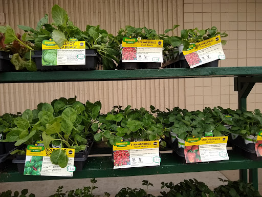 Discount Store «Kmart», reviews and photos, 3071 Dixie Hwy, Erlanger, KY 41018, USA