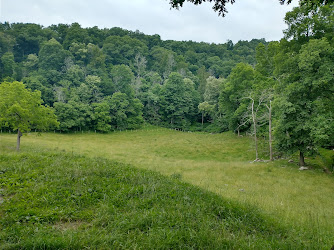 Watauga Trail Head Creeper Trail Parking