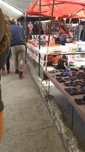 Tianguis Comercial “El Salado”