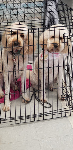 Woof Woof Meow Pet Grooming