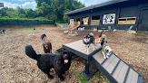 Dog friendly parks in Cleveland