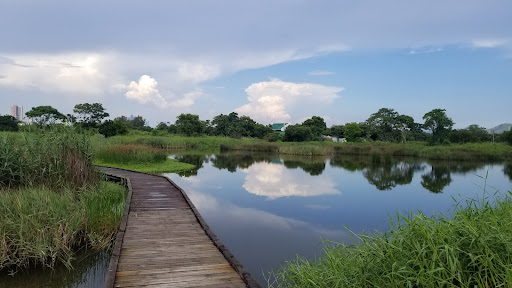 Mai Po Nature Reserve